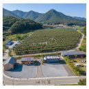 오팔농장 이미지