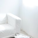 명동세탁 이미지