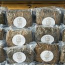 용산시장 이미지