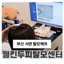 하울팟 부산케어센터 | 부산 서면 탈모관리 웰킨두피탈모센터 서면점에서 두피케어 받고 온 후기