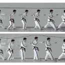 사인웨이브 이미지