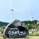 1004섬수석미술관 이미지