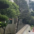 GS25평거한보점 | 여름의 한 가운데에서 | vacation shirts