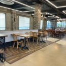 161스튜디오 | 대구 현풍 핑크뮬리 카페 161커피스튜디오 애견동반가능 브런치맛집