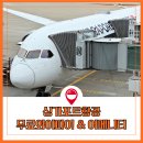 11650-1-10-607 | 싱가포르항공 기내 와이파이 방법, 어메니티, SQ607 후기