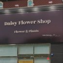 산호대로-31 이미지