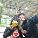서부에 위치한 코끼리 마을, 점보빌리지(Jumbo Village)에서 코끼리를 만져보고, 코끼리 운동회도 구경...