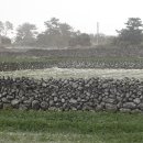 밭담 이미지