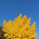 고향추어탕.고디탕 이미지