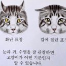 다이소창원
