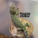 현모농장 이미지