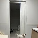 니니스테이 이미지