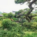 박효근 효행관련고문서 이미지