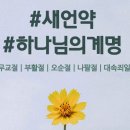 다주여행사 이미지