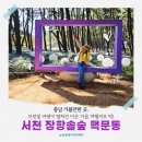 솔숲