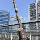 양평교 화장실 이미지