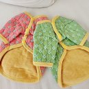 클라라 애견 이미지