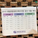 대일관광 이미지