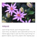좋은생각