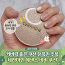 비비필름 | 세라마인 에센스 비비쿠션 솔직후기 (장미향·촉촉광·커버력 좋은 쿠션)
