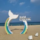 강원도 삼척 산희네 횟집후기 ,삼척 회 추천,포장회 추천