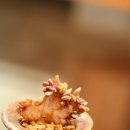 오팔농장 이미지