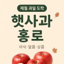 홍로