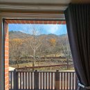 서운산자연휴양림 이미지