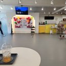 멍쉬멜로 이미지