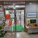 HS빌딩 | 강아지미용학원 HS평생교육원(에이치에스평생교육원) 수강 후기!