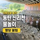달빛과일화성 | 0원으로 종일놀기, 동탄 신리천 무료 물놀이 주차 돗자리 명당 꿀팁
