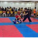 대동태권도 이미지