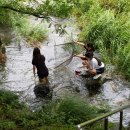 두리두채 이미지