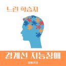 느린 학습자(경계선 지능장애) 이해하기 이미지