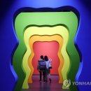 골드미디어