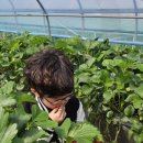 한국체대MTA태권도장 이미지