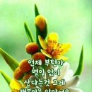 수림결혼정보 이미지