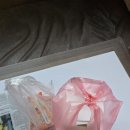 레인보우 토스트 | [네팔] 치트완 사파리 2박3일 투어 1일차 (타루족 공연, 정글워크, 레인보우 사파리 리조트)