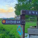 와룡지구 이미지