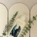 다시마 | 청미정 다시마 트리트먼트 후기