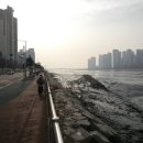 월곶동주민센터.월곶포구 이미지