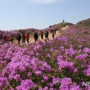 산청 - 순천시 | 산청