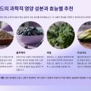 진실푸드