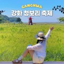 난정낚시터 | 서울 근교 나들이 6월 가볼만한곳 인천 강화 교동 청보리 축제