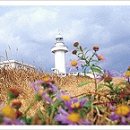 마라도유람선(유양해상) 이미지