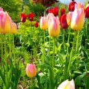 ★☆[캠핑]7월27일(금)or28일(토) 화천&#34;러브팜캠핑장&#34;으로 물놀이&amp;힐링캠하러 가요~ #2030여행캠핑동호회☆★ 이미지