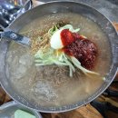 은행나무갈매기 이미지