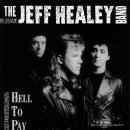 Jeff Healey - While My Guitar Gently Weeps 이미지