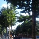 은행의원 이미지