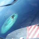 처럼풀빌라 하와이처럼 | &#34;허니문여행사&#34;(여의도본점) 20년 전통 허니문 전문 여행사, 2026년 새로운 도약을 준비하다 [허니문...